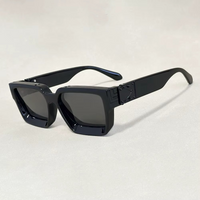 SILVER FRAME SUNGLASSES